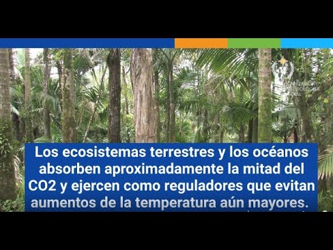Greenhouse Gas Bulletin - October 2021 - Spanish