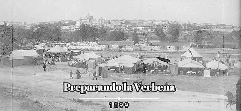 verbena-1899