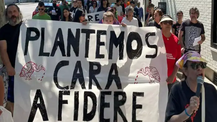plantemoscaraafidere